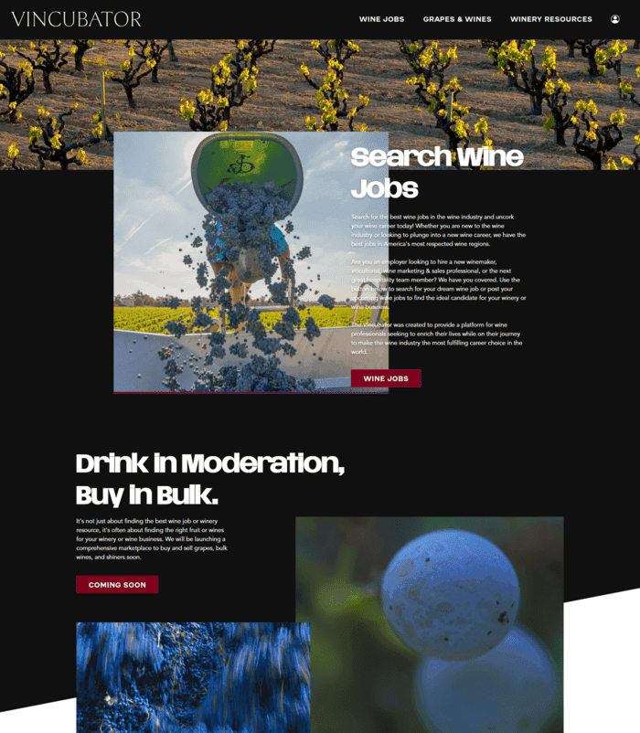 The Vincubator — screenshot 1